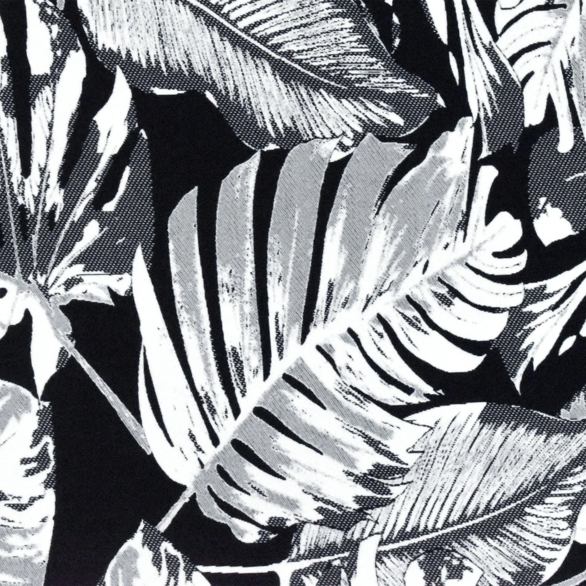 Black-White Famous Maker Tropical Leaf Jacquard Stretch Activewear Fabric