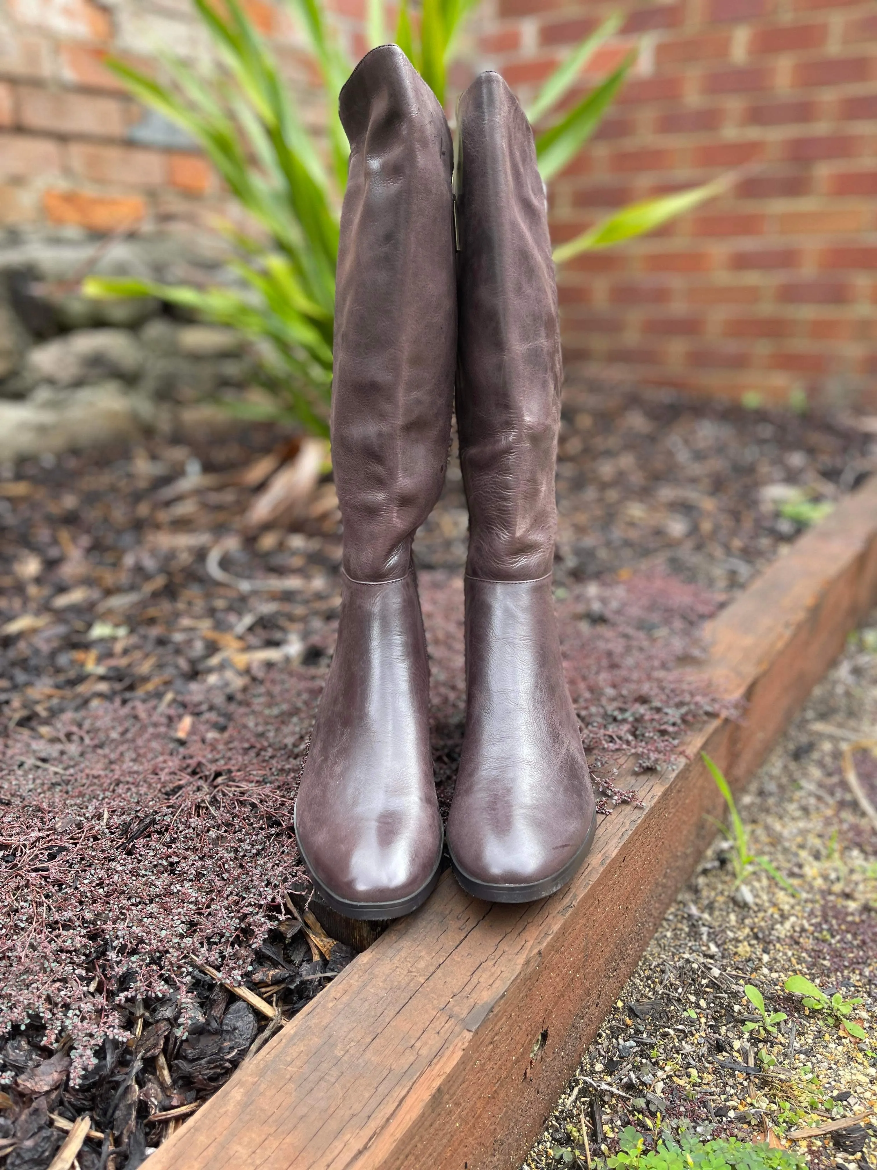 Tetley Long Boots - Chocolate